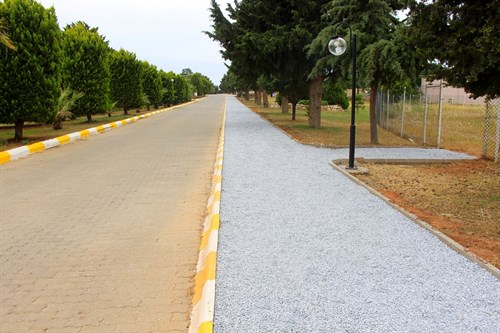 Yürüyüş Yolu